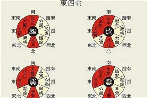 東四命 西四命 算法|【風水 東四局】八宅東四命與西四命的計算方法 